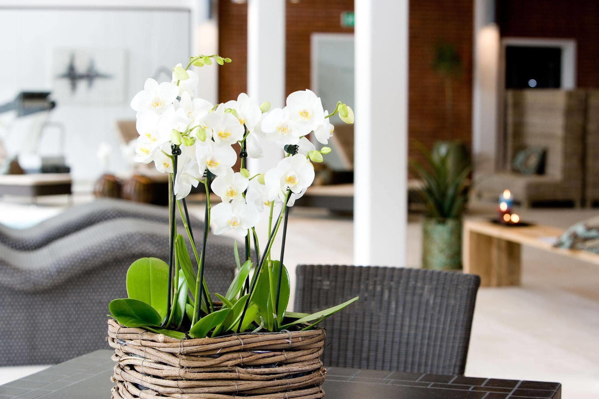 Hotel Hesselet Nyborg Extérieur photo